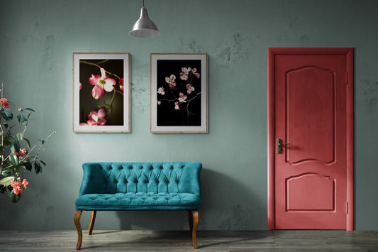 A Bloom for Every Room