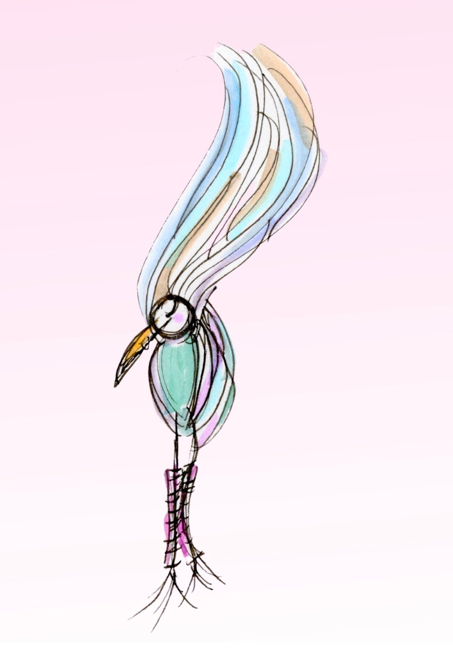 Birds Wearing Legwarmers Collection